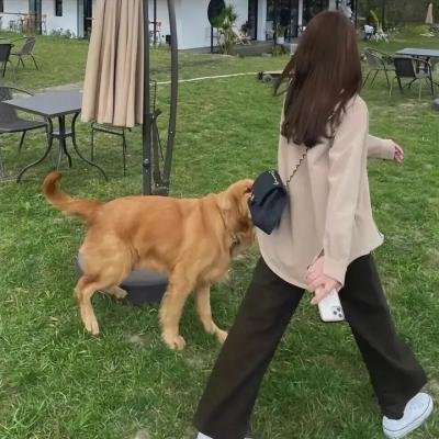 风流女明星
